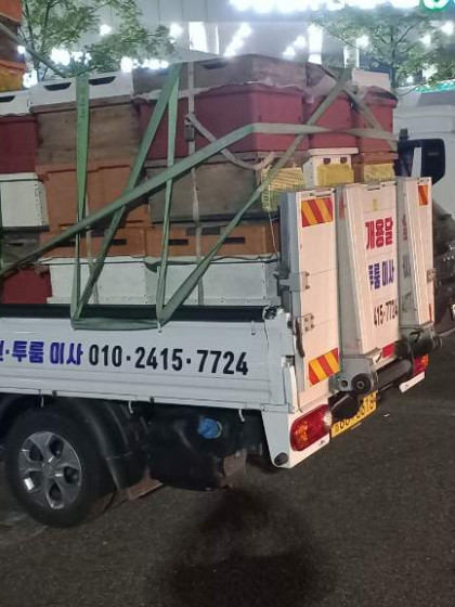 조치원용달,조치원용달이사,세종용달,세종용달이사