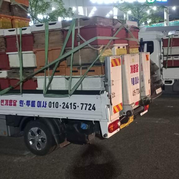 조치원용달,조치원용달이사…